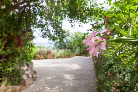 Grounds